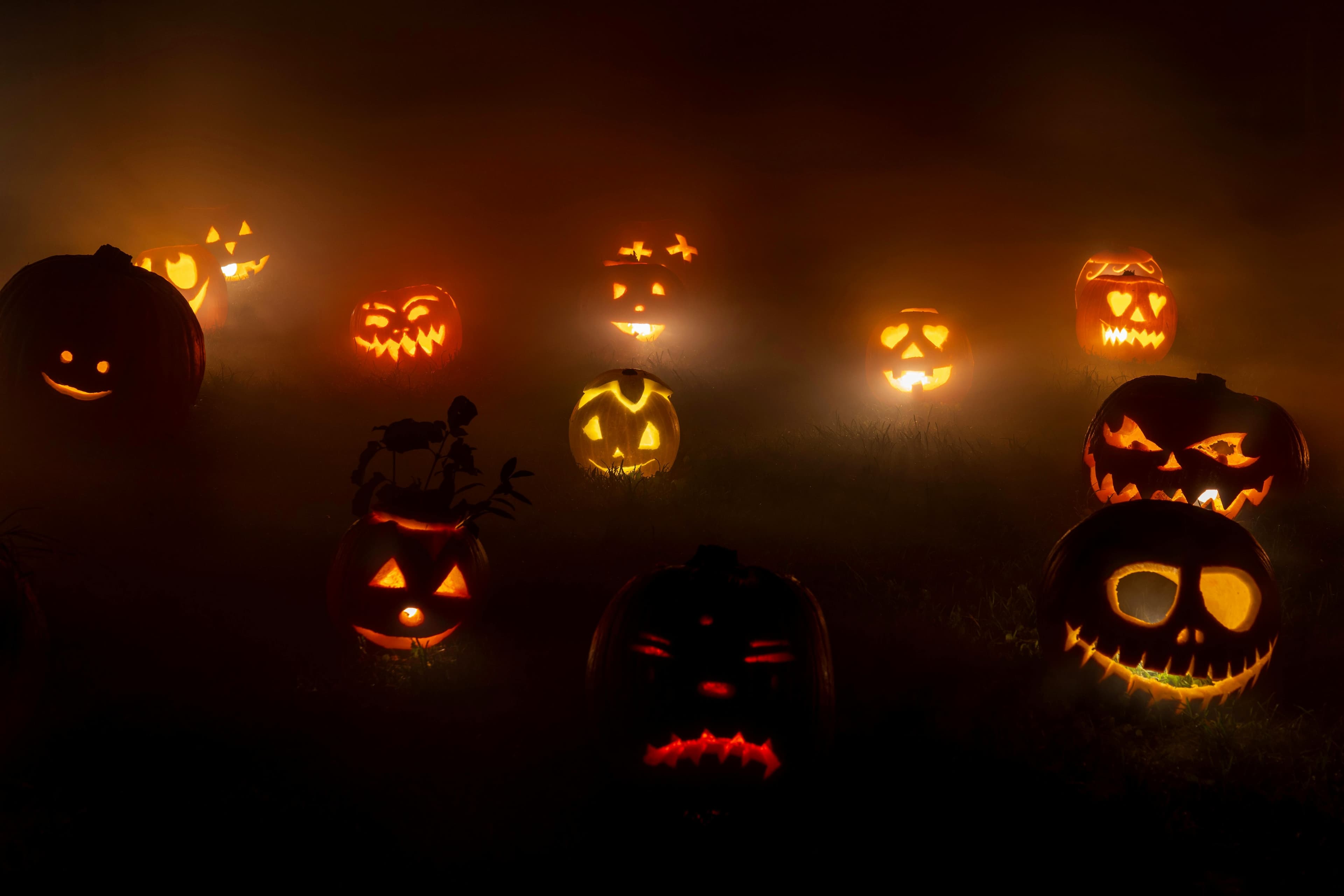 Halloween: Beyond the Candy Corn - The Spooky Trivia You're Dying to Know