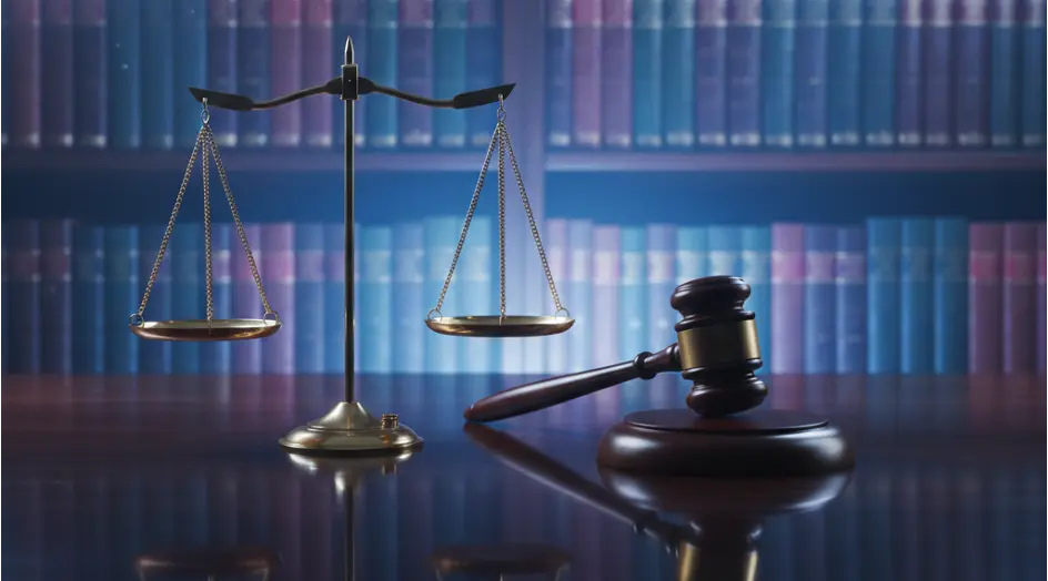 Law, Politics & Government